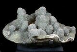 Prasiolite (Green Quartz) Stalactite Cluster - Uruguay #77868-1